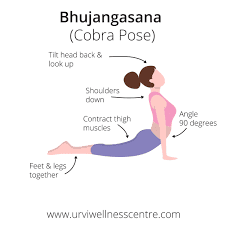 bhujangasana