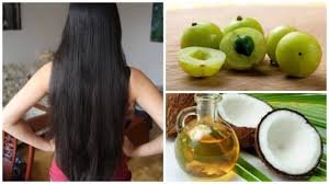 Amla Coconut oil prevents hair loss