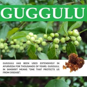 Guggulu for Arthritis Treatment