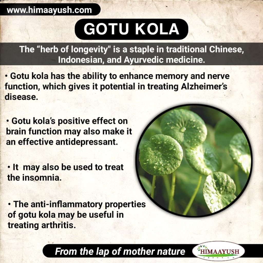 5 Anxiety Ayurveda Treatment Best Anxiety medicine in Ayurvedic Context