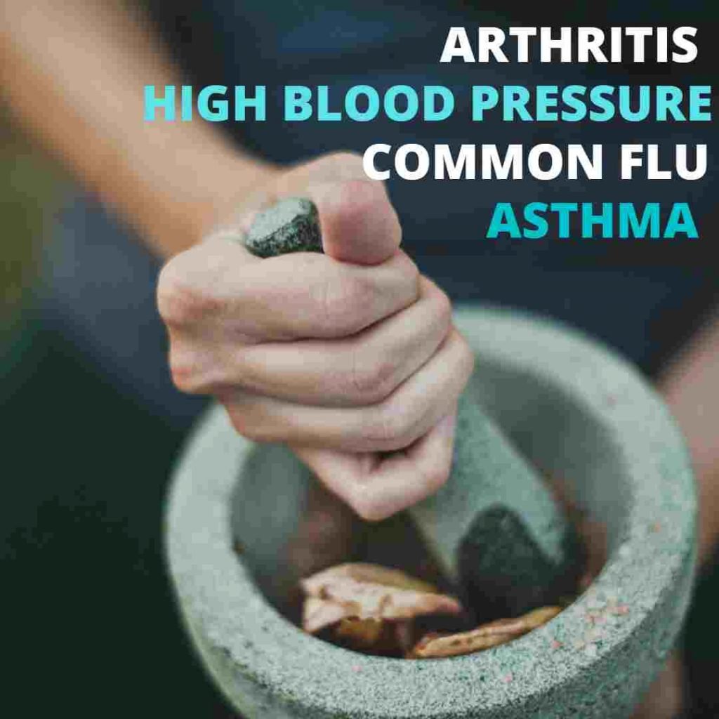 Best Ayurvedic Store near Me